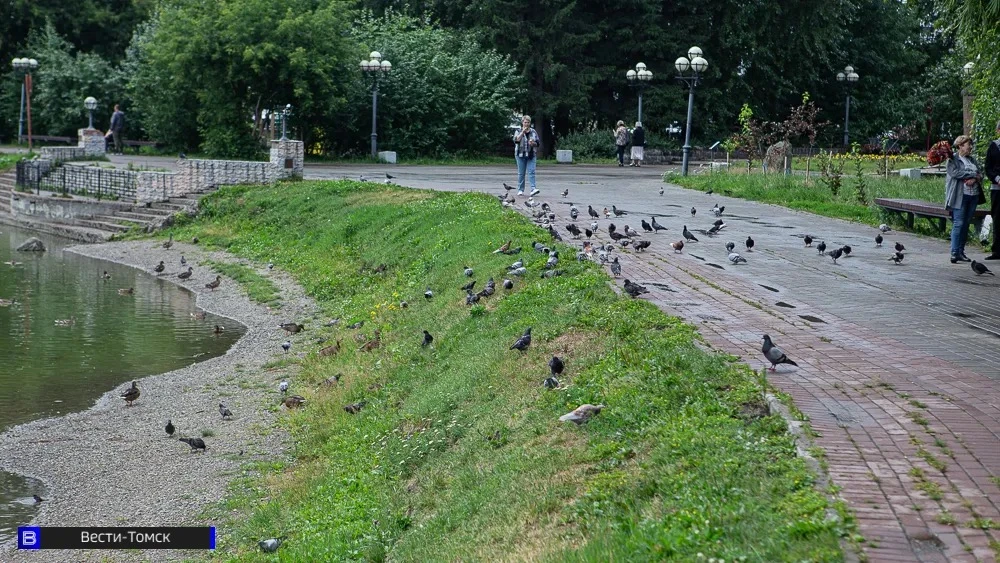 Томские парки и скверы обработали от клещей