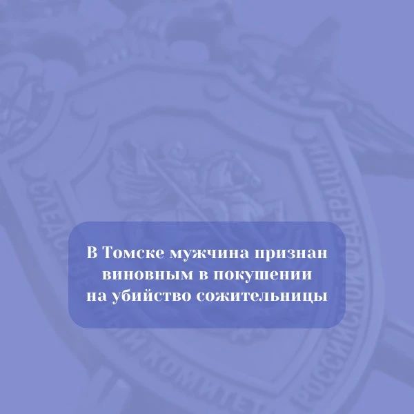 В Томске мужчина признан виновным в покушении на убийство сожительницы