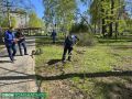 В Буфф-саду появятся яблони и гортензии
