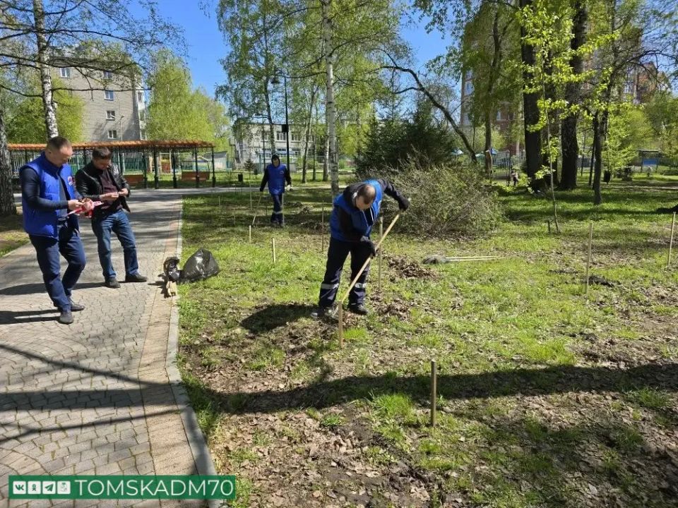В Буфф-саду появятся яблони и гортензии