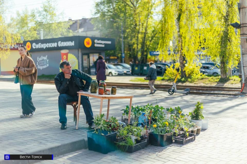 Томичи выносят на продажу первый урожай - фоторепортаж Томичи выносят на продажу первый урожай - фоторепортаж