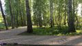 В Томске пройдет спортивный забег в честь 422летия города
