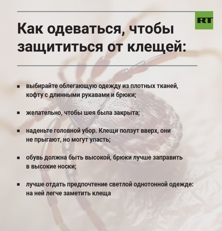 Более 2,5 млн россиян привились от клещевого вирусного энцефалита с начала года
