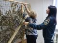 Томские спасатели участвуют в поддержке бойцов специальной военной операции