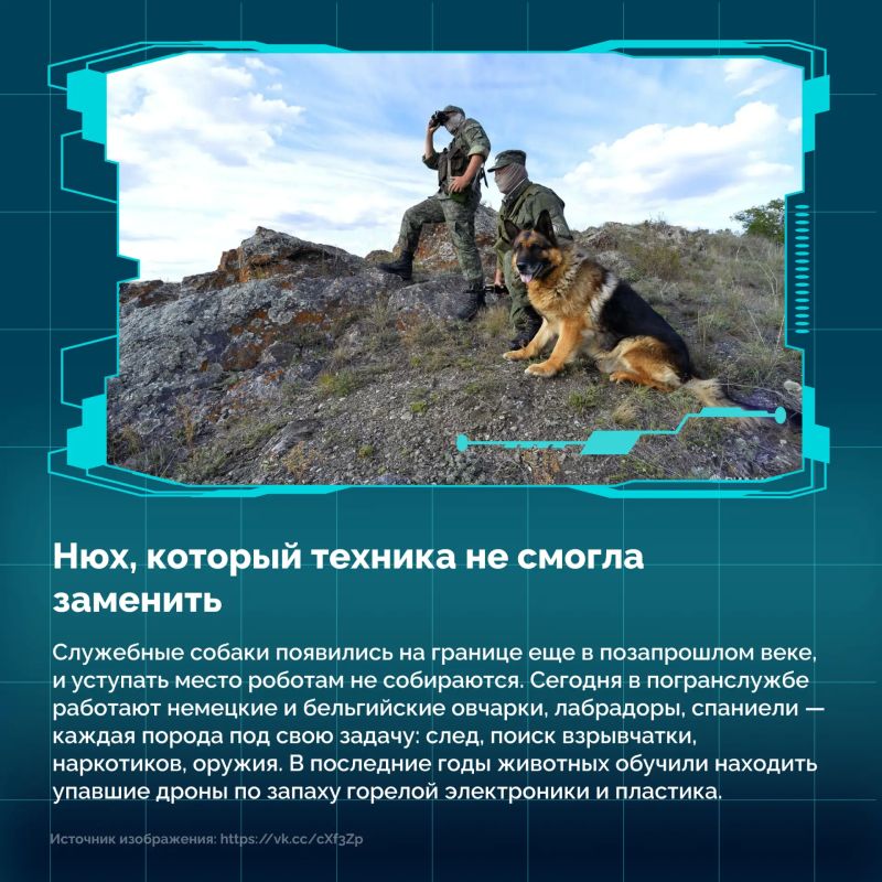 28 мая свой профессиональный праздник отмечают те, кто охраняет рубежи нашей огромной Родины: от Калининграда до Владивостока 28 мая свой профессиональный праздник отмечают те, кто охраняет рубежи нашей огромной Родины: от Калининграда до Владивостока