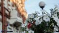 Кадры летнего Томска из прошлого — показываем, как это было