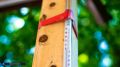 От +11°С до +25°С: стала известна погода на первую неделю лета в Томске