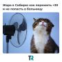��� �������� ���� ���� +30�C