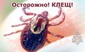 Осторожно, клещи!. С 28 мая по 3 июня в медицинские учреждения Томской области обратились 2338 человек с жалобами на присасывание клещей, в том числе 454 ребенка (по данным Управления Роспотребнадзора)