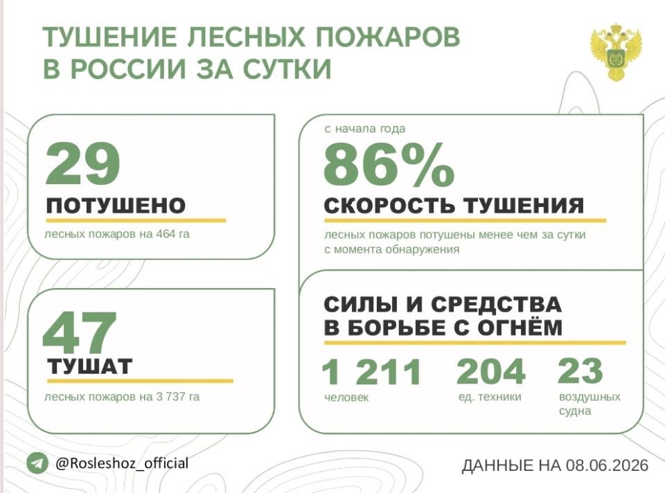 За прошедшие сутки в 13 регионах России потушили 29 лесных пожаров