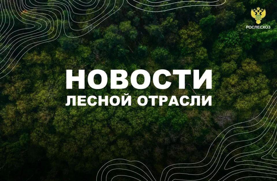 AK&M: Рослесхоз: утвержден новый порядок проведения лесопатологических обследований