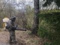 �������� ���, ������, �������� - ��� ��� ���������� ���������� �� ������ � ������� �������?