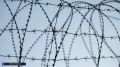 Свидание с последствиями: попытка получить наркотики в томской колонии привела к сроку