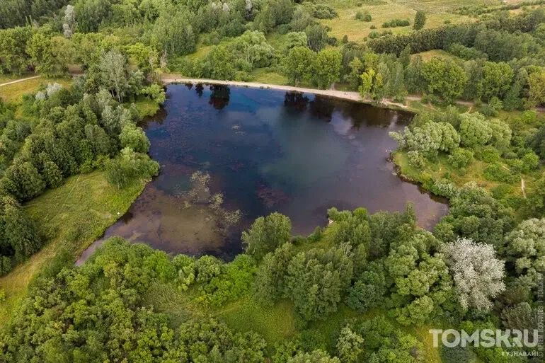 Свежий дайджест новостей от Tomsk.ru Свежий дайджест новостей от Tomsk.ru