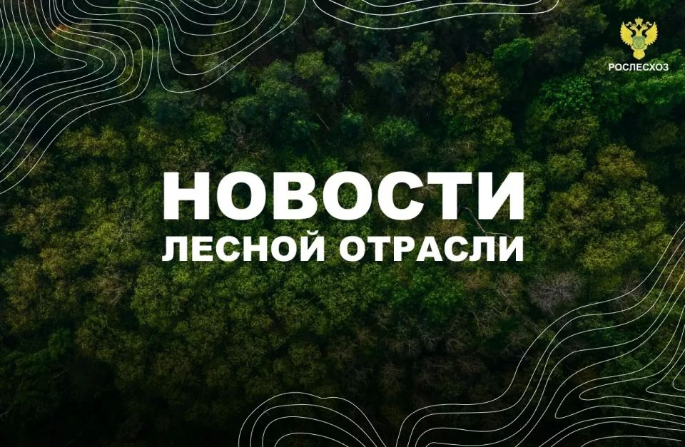 ТАСС: Количество высаженных деревьев «Сада Памяти» достигло 27 млн в День России