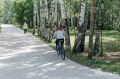 Томичи выбрали Михайловскую рощу для благоустройства в 2027 году