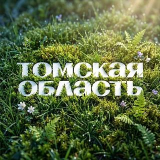 Томичи вошли в число лучших управленческих команд страны Томичи вошли в число лучших управленческих команд страны