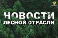 ���� �����: ������ ������� ����: ������� ��� ��� ����������� �������