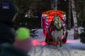 Перевозчика обязали выплатить компенсацию четырехлетнему мальчику, сбитому запряженной в сани лошадью в центре Томска