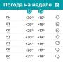 Снова +30. Томск ждет еще одна жаркая неделя