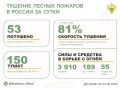 За прошедшие сутки в 15 регионах России потушили 53 лесных пожара