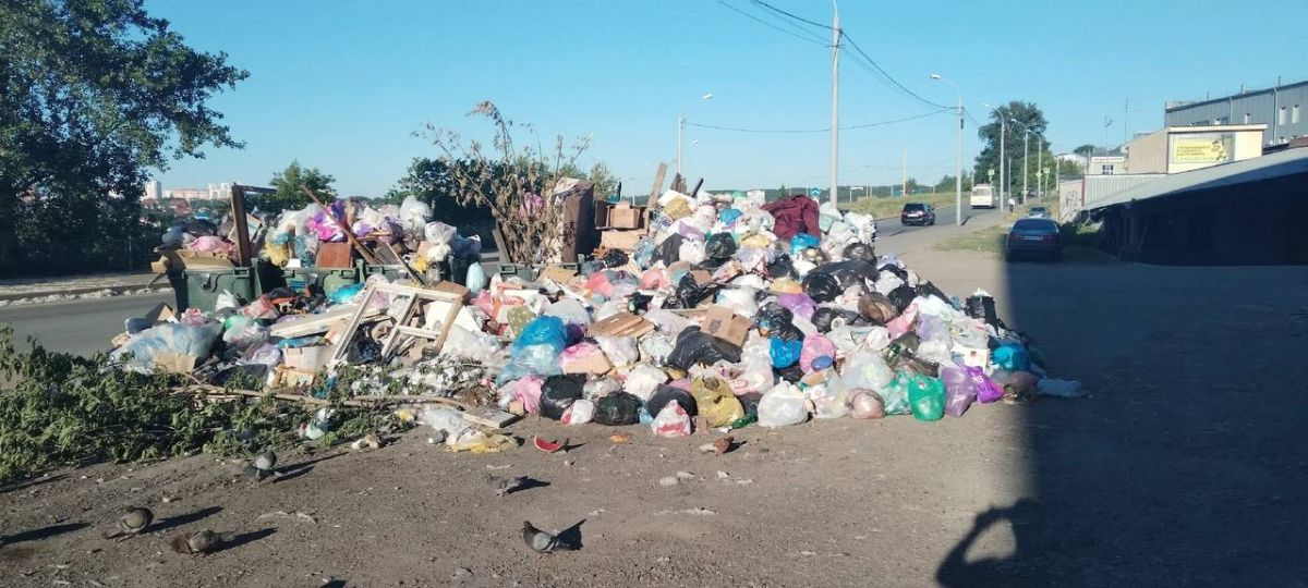 Власти Томской области обязали за две недели навести порядок на мусорных площадках Власти Томской области обязали за две недели навести порядок на мусорных площадках