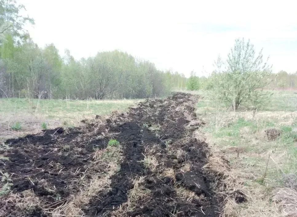 После вмешательства прокуратуры Кожевниковского района Томской области вокруг 5 населенных пунктов обустроены противопожарные минерализованные полосы