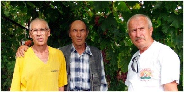 Виноград Богатяновский: уникальный сорт для ценителей