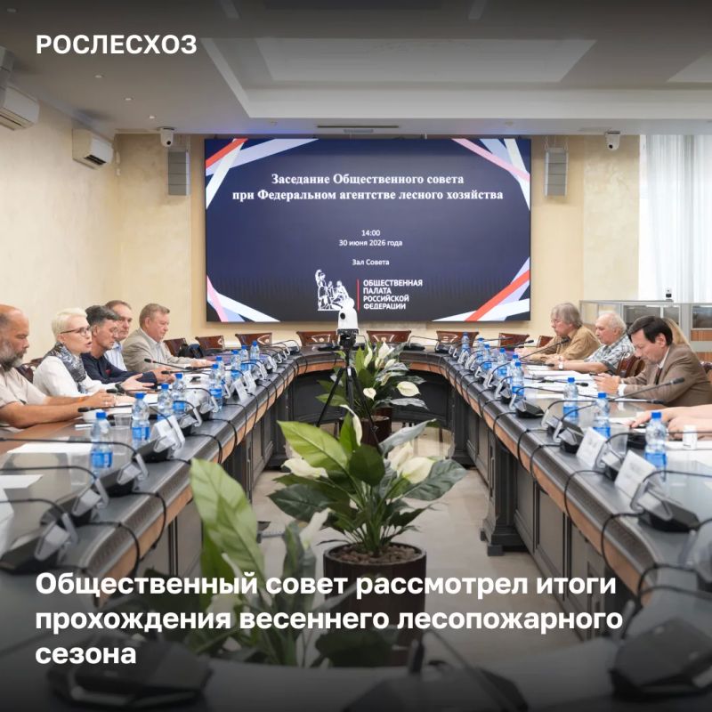 На очередном заседании Общественного совета при Рослесхозе обсудили итоги прохождения весеннего лесопожарного сезона и готовность регионов к летнему периоду лесных пожаров