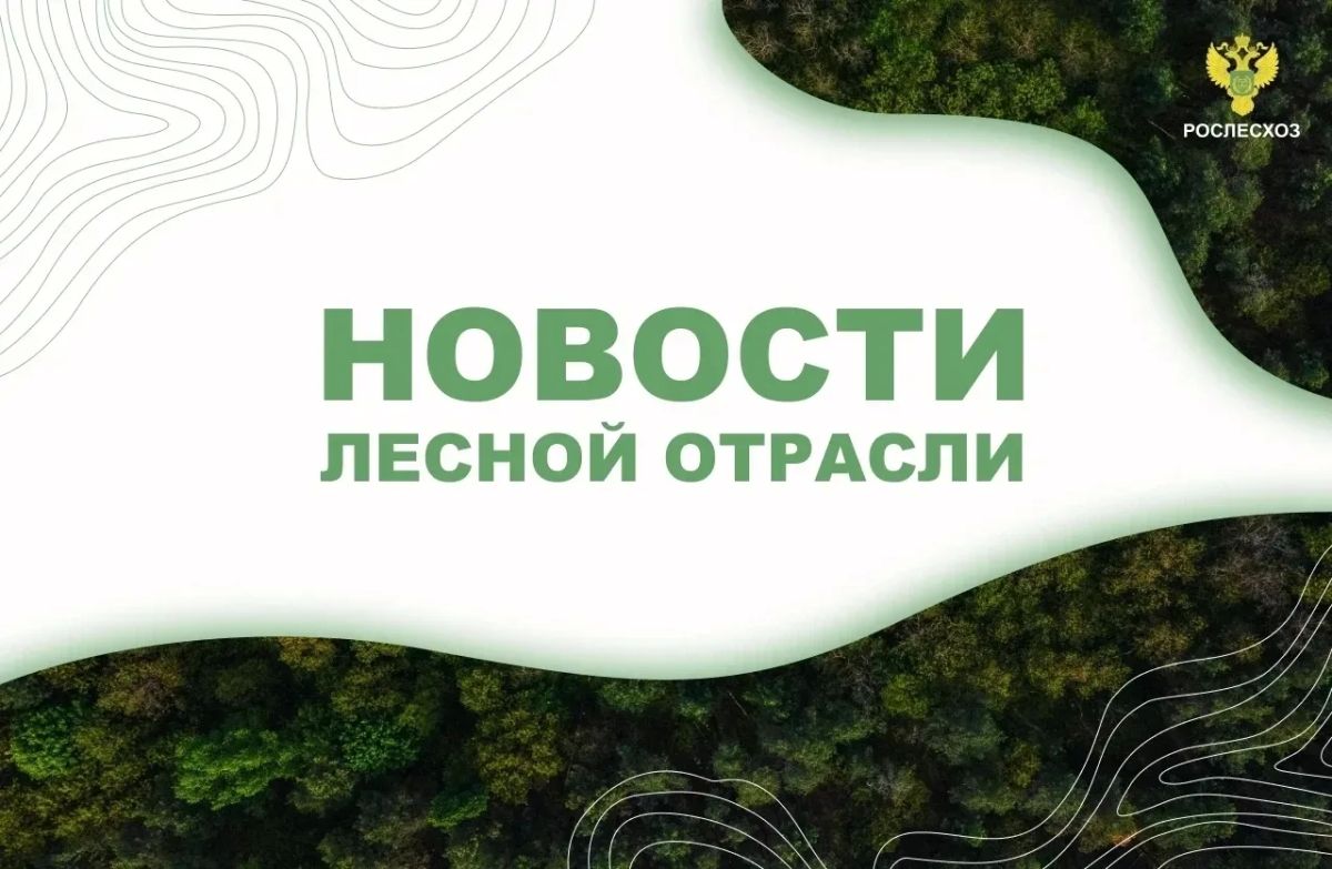 Интерфакс: Все лесные пожары потушили в Иркутской области
