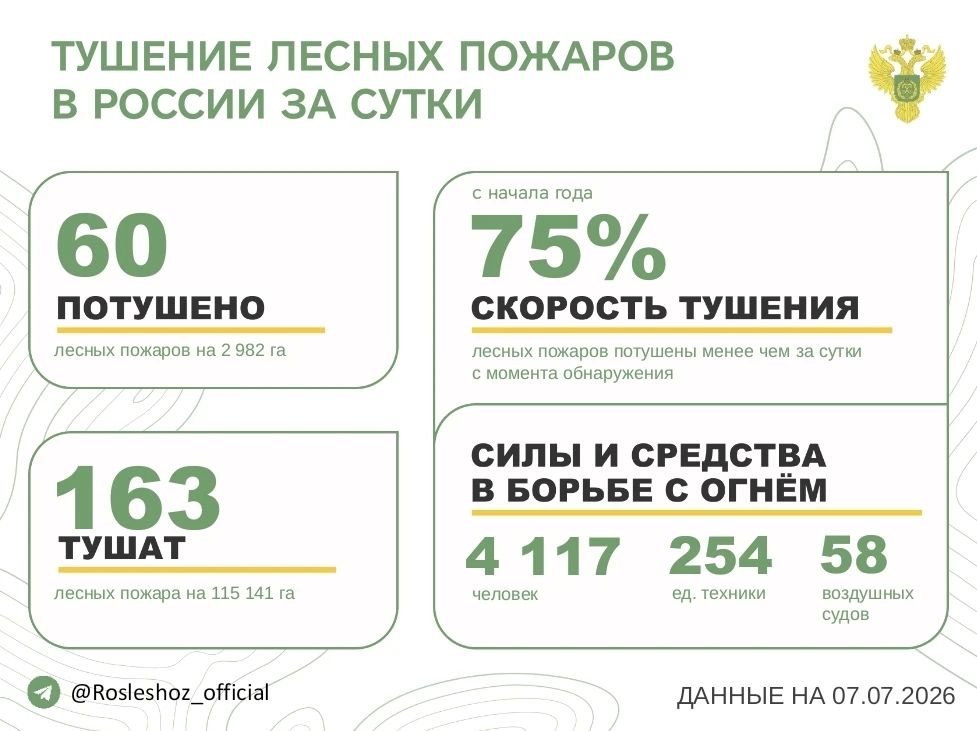 За прошедшие сутки в 14 регионах России потушили 60 лесных пожаров