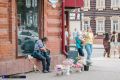 Городские хранительницы лета: какие цветы продают на улицах Томска