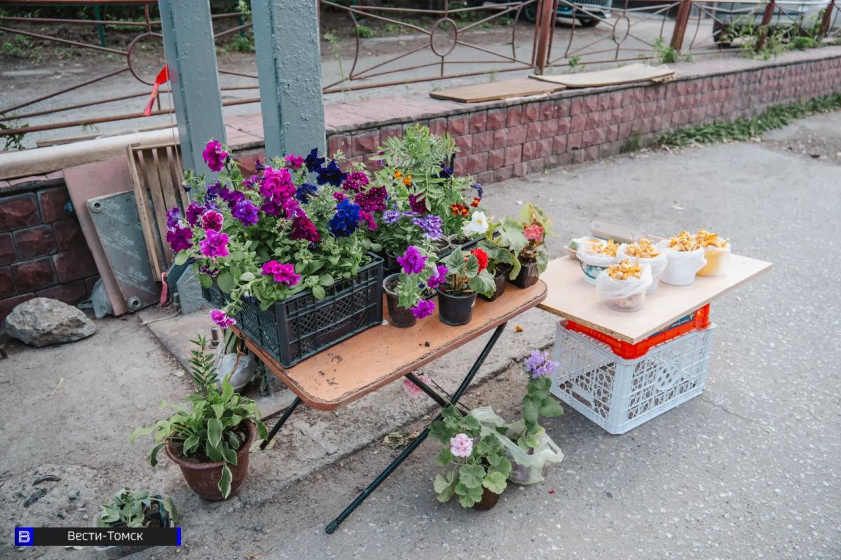 Городские хранительницы лета: какие цветы продают на улицах Томска Городские хранительницы лета: какие цветы продают на улицах Томска