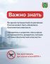 Памятка для вас, чтобы отпуск прошел спокойно