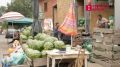 В Томской области стартовал сезон продажи арбузов и дынь