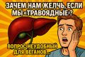 ������ ����� ���������� ���� ��������� �������: ��������� ����� ��� �������