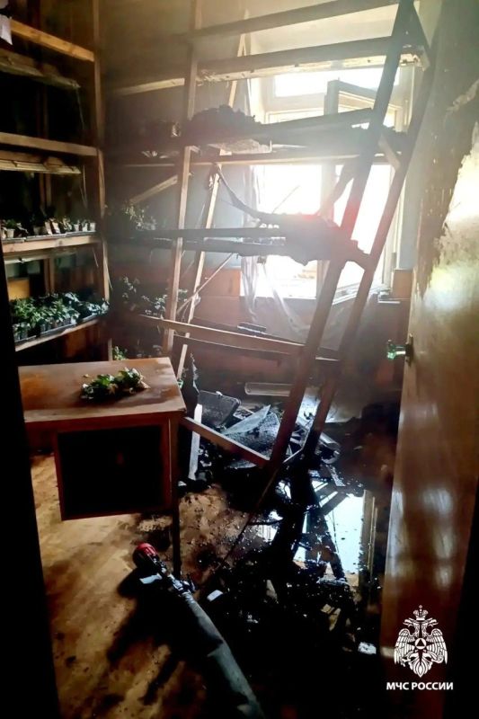 Пожарные спасли из огня 10 человек на ул. Высоцкого Пожарные спасли из огня 10 человек на ул. Высоцкого