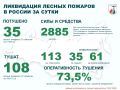 За прошедшие сутки в России потушено 35 лесных пожаров в 11 регионах