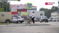 В МВД призывают томичей быть бдительными при сохранности велосипедов и самокатов