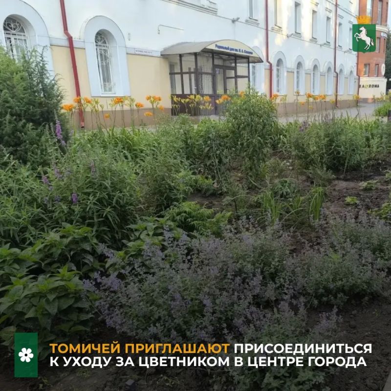 В среду, 22 июля, в 18.30 запланирован выход волонтеров для ухода за цветником "Новое дыхание" перед Роддомом №1