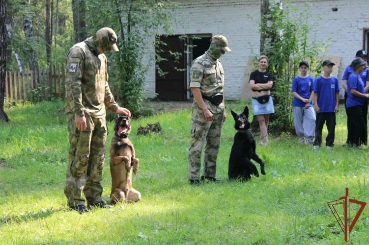 В год 10-летия образования Росгвардии и 215-летия войск правопорядка, а также в рамках всероссийской ведомственной акции «Каникулы с Росгвардией» военнослужащие и сотрудники Сибирского ордена Жукова округа войск национальной... В год 10-летия образования Росгвардии и 215-летия войск правопорядка, а также в рамках всероссийской ведомственной акции «Каникулы с Росгвардией» военнослужащие и сотрудники Сибирского ордена Жукова округа войск национальной...