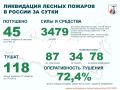 За прошедшие сутки в России потушено 45 лесных пожаров в 8 регионах