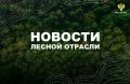 AK&M: Рослесхоз: отменены 2 региональных правовых акта с нарушением лесного законодательства