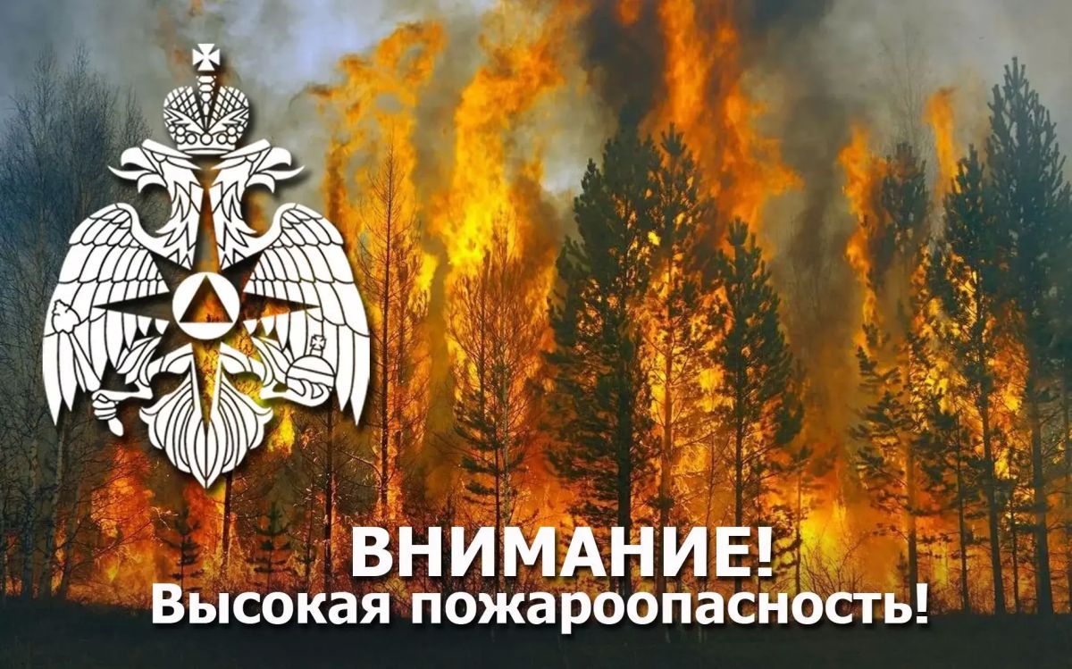 Внимание! Оперативное предупреждение!