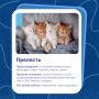 В нашей воскресной рубрике «Корень слова» расскажем о настоящей прелести