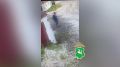 ���������� ������� ���������� ������������� � ����� �������� ������