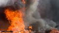 Количество лесных пожаров в Томской области выросло более чем в два раза