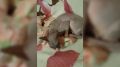 "������ �� ����� �����": ��������� ������, ��������� � ����, ����� ��� ��������� ���������� "����������"