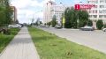 Правоохранители разбираются в конфликте в Зелёных Горках.