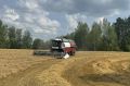 Владимир Мазур: Уже семь районов Томской области приступили к уборочной, которая стартовала на прошлой неделе